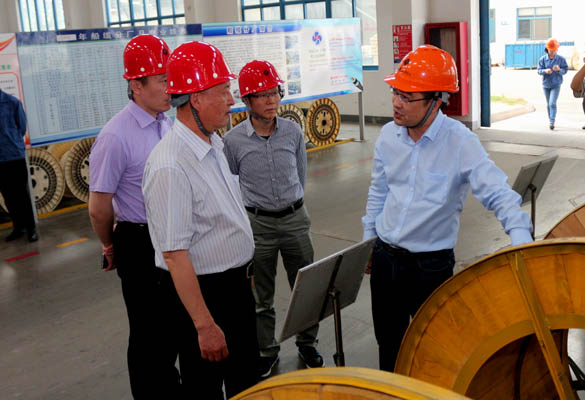 2016年5月14日，寧夏回族自治區(qū)人民政府研究室副主任蘇昀一行來上上電纜調研