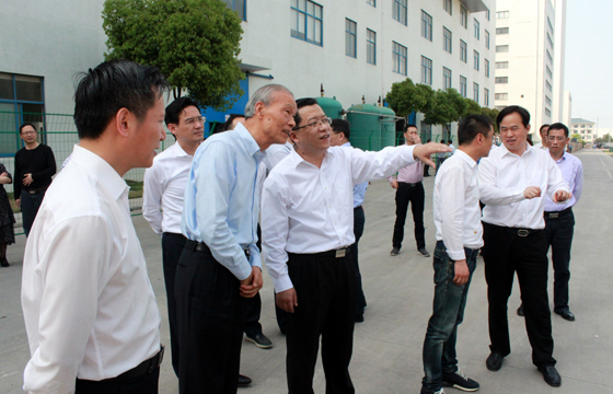 常州市市長丁純來上上電纜督查新能源項目建設