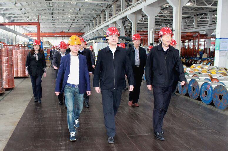 南京市六合區黨政代表團來上上電纜參觀考察