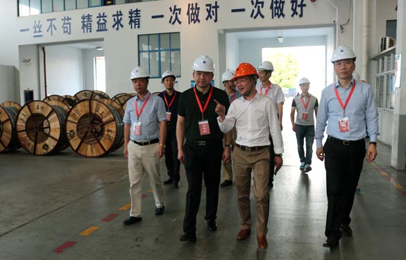 靖江市、溧陽市青商會齊聚上上電纜參觀交流