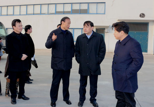 常州市市長費(fèi)高云一行來江蘇上上電纜集團(tuán)督查新開工項目