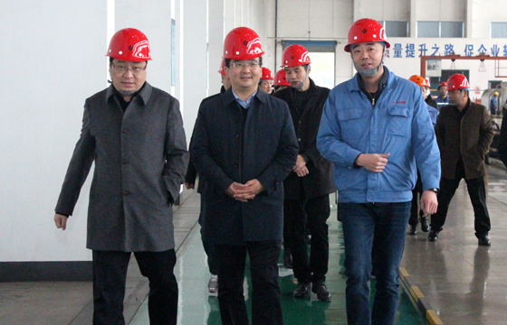 2020年12月8日，廣德市市委常委、常務(wù)副市長邱鐵軍一行來上上電纜考察