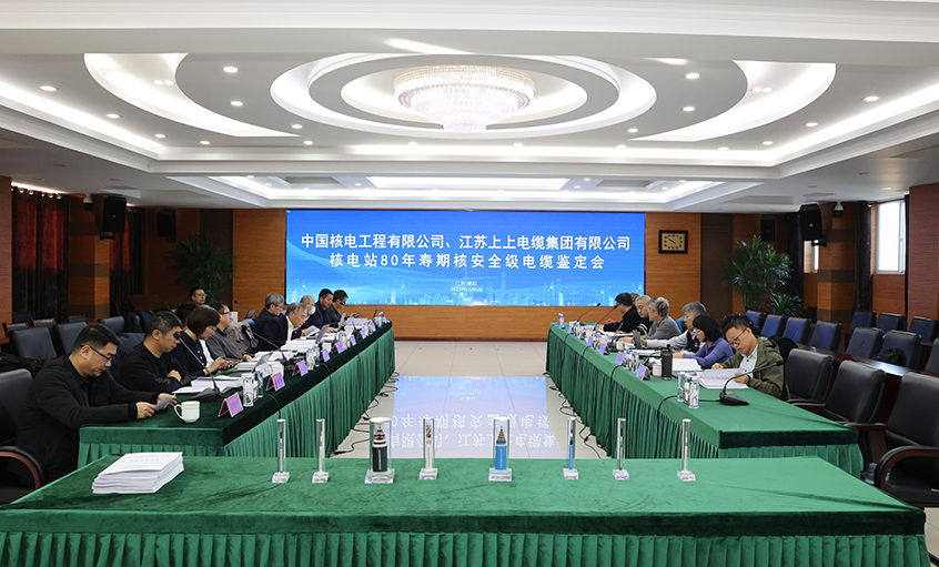 國際領先，上上電纜“核電站80年壽期核安全級電纜”通過國家級鑒定