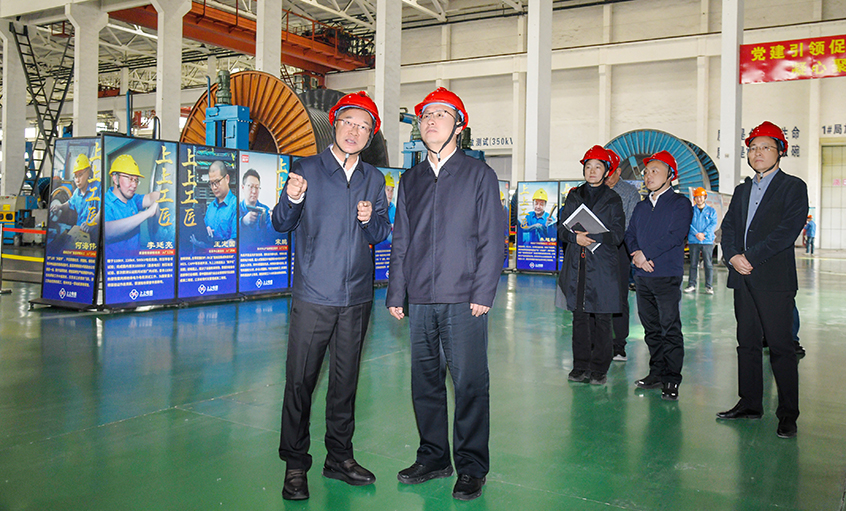 溧陽市委書記李超鯤來上上電纜調研