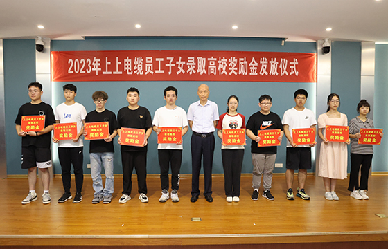 16927734297644904P5v.jpg 05.jpg