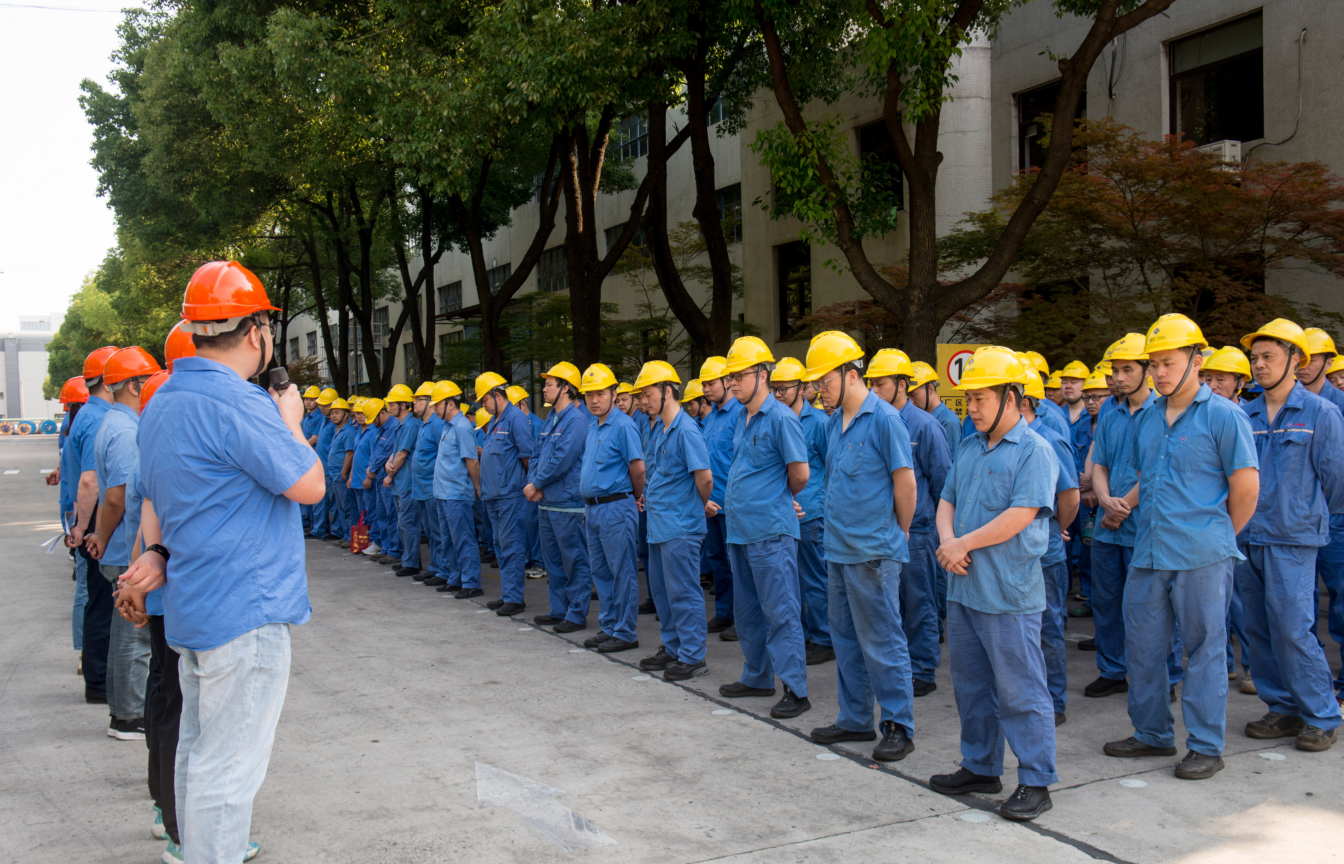 1720486619237585xuBf.jpg 1720486619237585xuBf.jpg