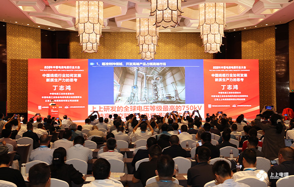 1727167079580100Y47h.jpg 5.jpg