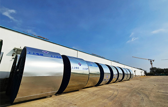 1730796306138738G5wQ.jpg 3.jpg