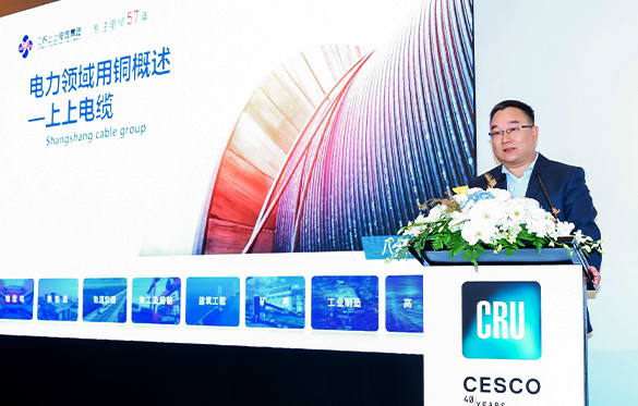 173165588261695514uy.jpg 1.jpg