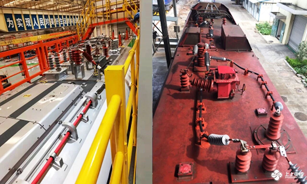 1761912926924547vuzg.jpg 1761912926924547vuzg.jpg